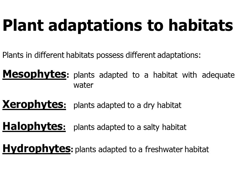 Plant adaptations to habitats  Plants in different habitats possess different adaptations:  Mesophytes: